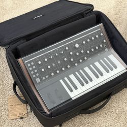 Moog Subsequent 25 Synth - Moog SR Case - Decksaver