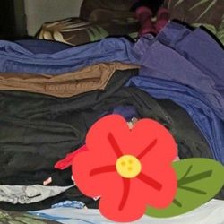 Scrubs: Shirts & Pants