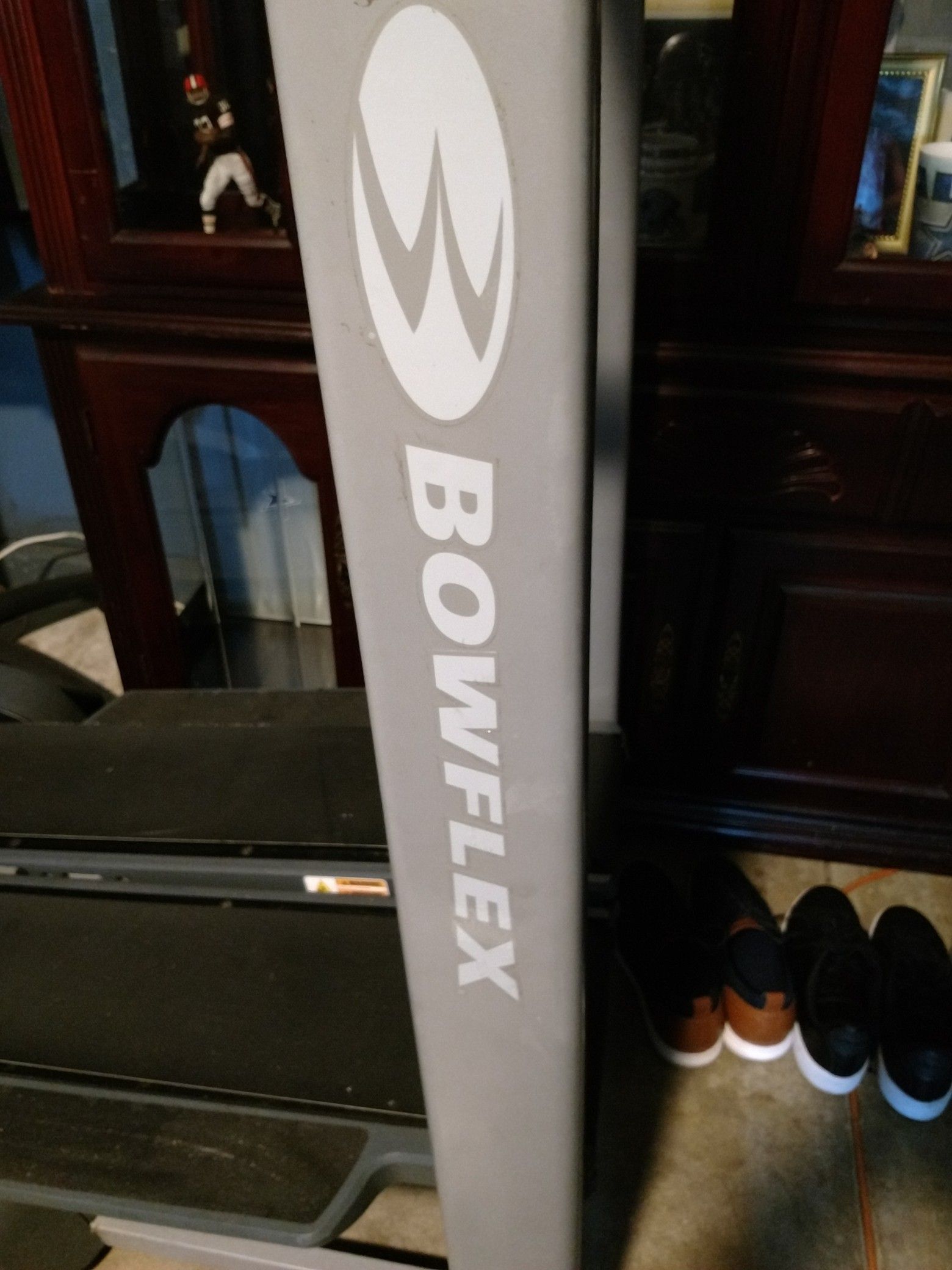 Bowflex TreadClimber