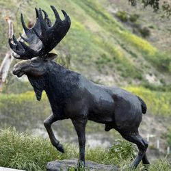 Moose Bronze Sculpture 