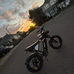 Ridstar Q20 Electric Bike