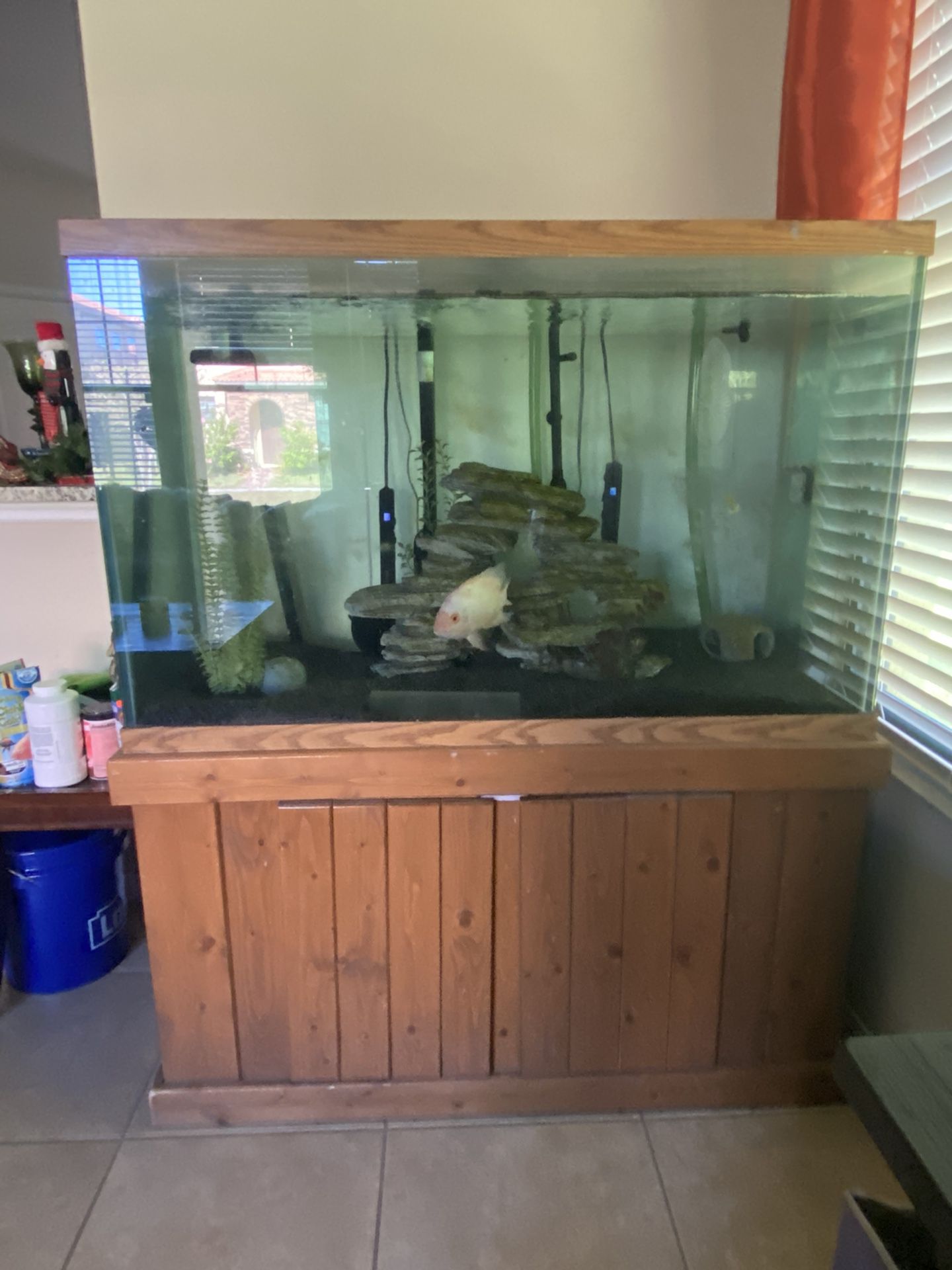 150 Gallon Fish Tank With Canisters, Lights And Heaters