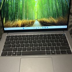 Dell Laptop 