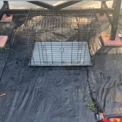 Dog Cage For $30