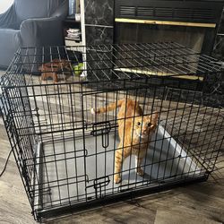 Medium Size Cage $50