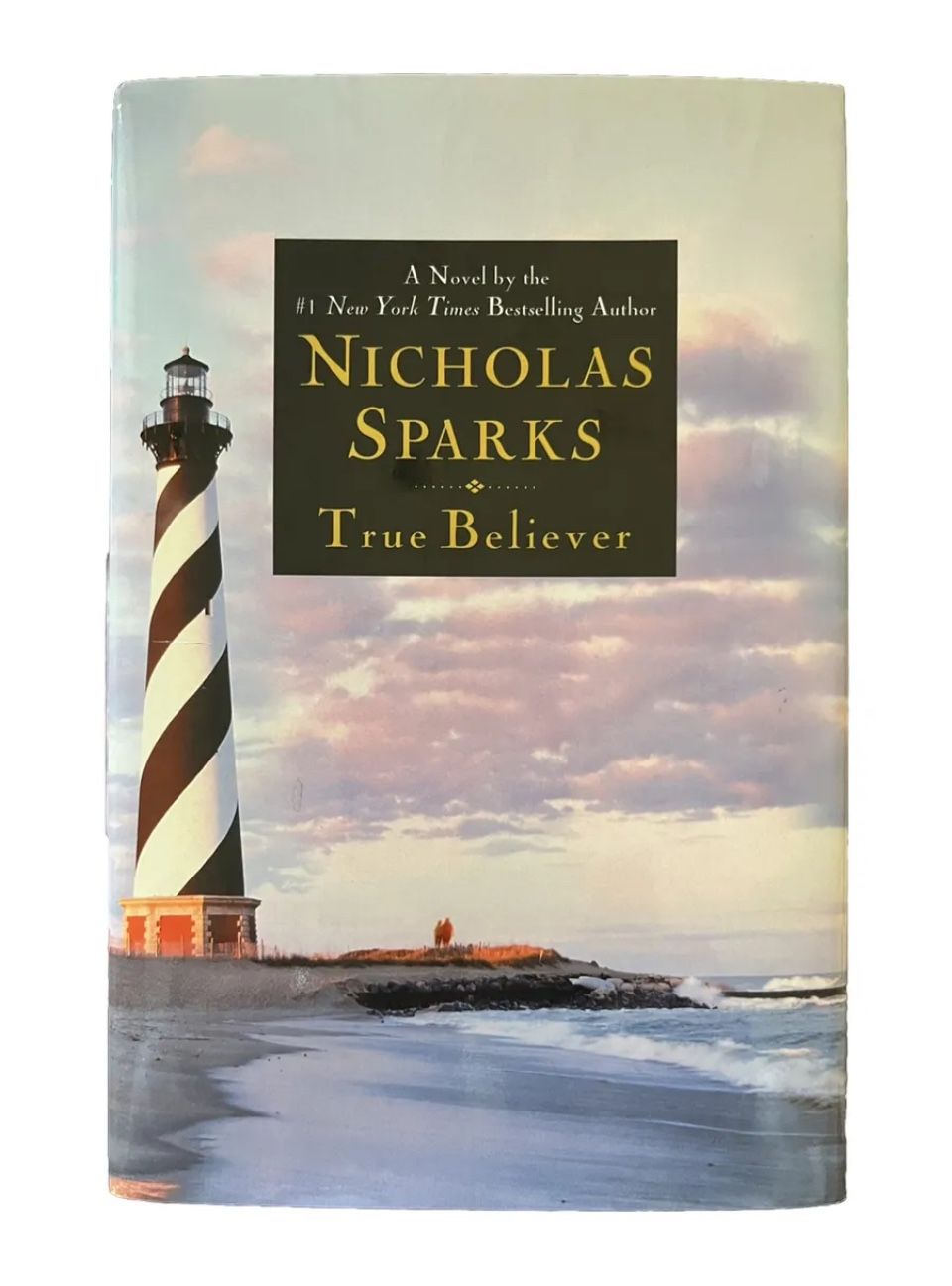 True Believer by Nicholas Sparks (April 2005) Hardcover Book Novel