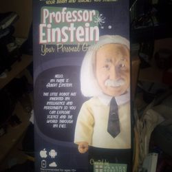Professor Einstein 