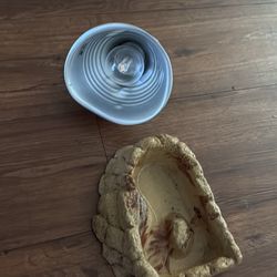 Reptile Light And Reptile Water Dish
