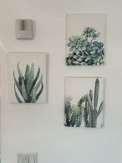 Cactus canvas (3)
