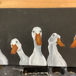 Duck, Ducks, And More Ducks 🦆 