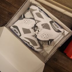 Jordan 6s