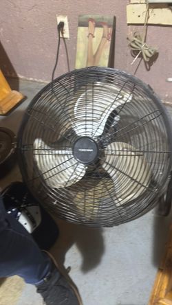 Fan