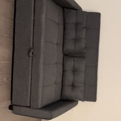 Pull Out Couch