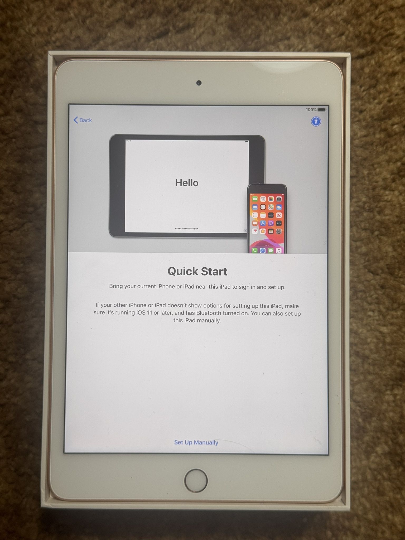 iPad Mini