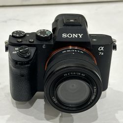 Sony A7ii 