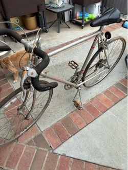 Schwinn 1981 le tour bicycle