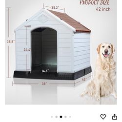 Dog House 
