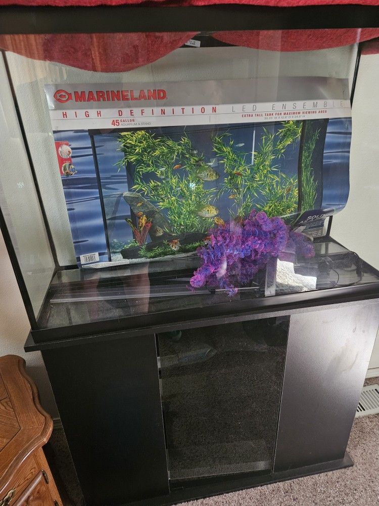 34 Gallon Fish Tank With Cabinet.