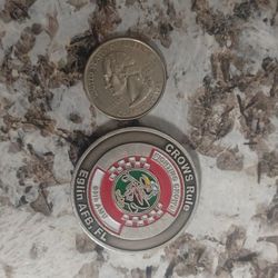 USAF Challenge Coin - 60th AMU “Fighting Crows” / 33 AMXS “Dragons” - Eglin AFB FL - Rare!