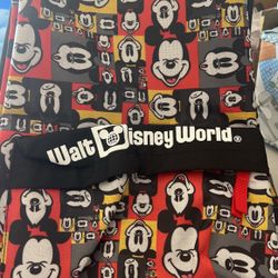 Disneyworld Backpack 