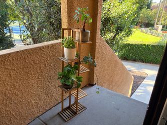 Multi-Perch Plant Stand