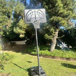 Free Basketball hoop 