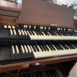 Organ