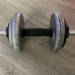 Dumbbell with 20 Lbs of Plates