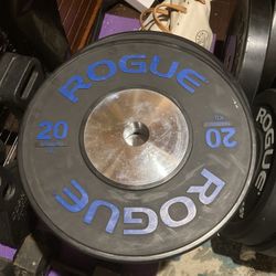 Pair Of 20 KG (45 Lb) Rogue Training Olympic Bumper Plates