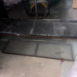 Large Reptile Aquarium