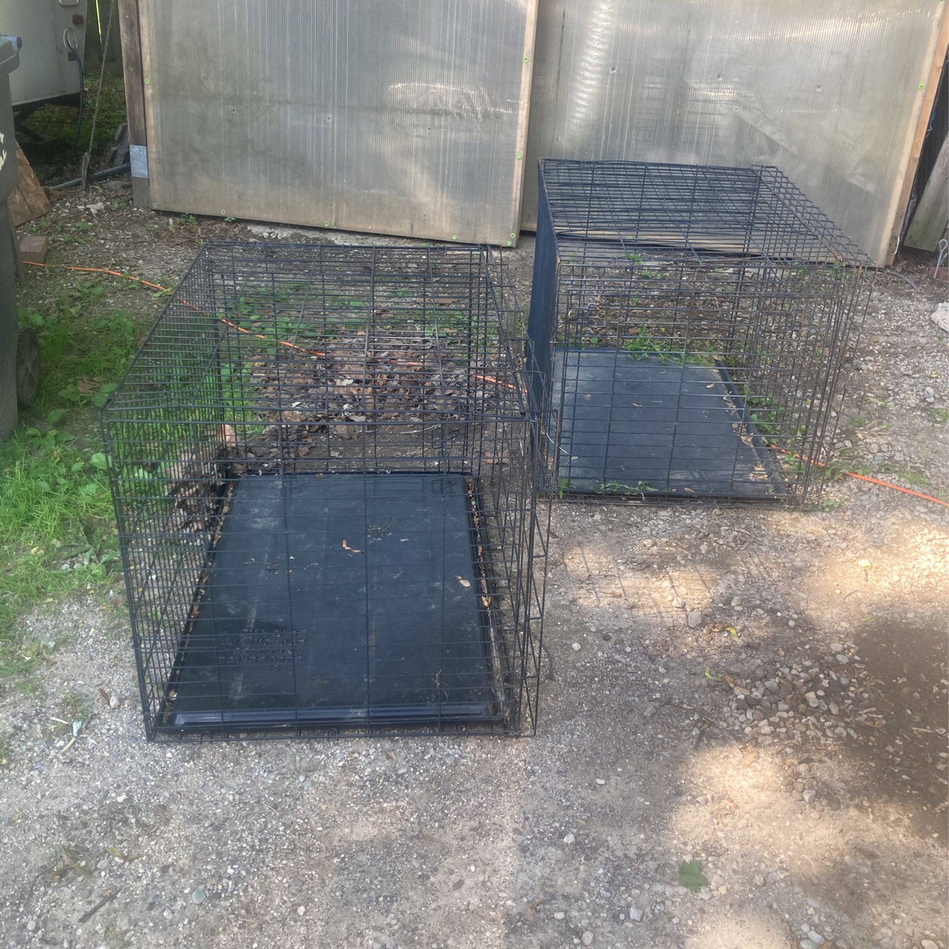 One Cages  For Big dog