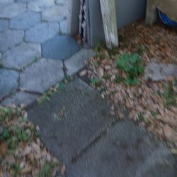 Blue velvet tufted sofa like perfect  condition