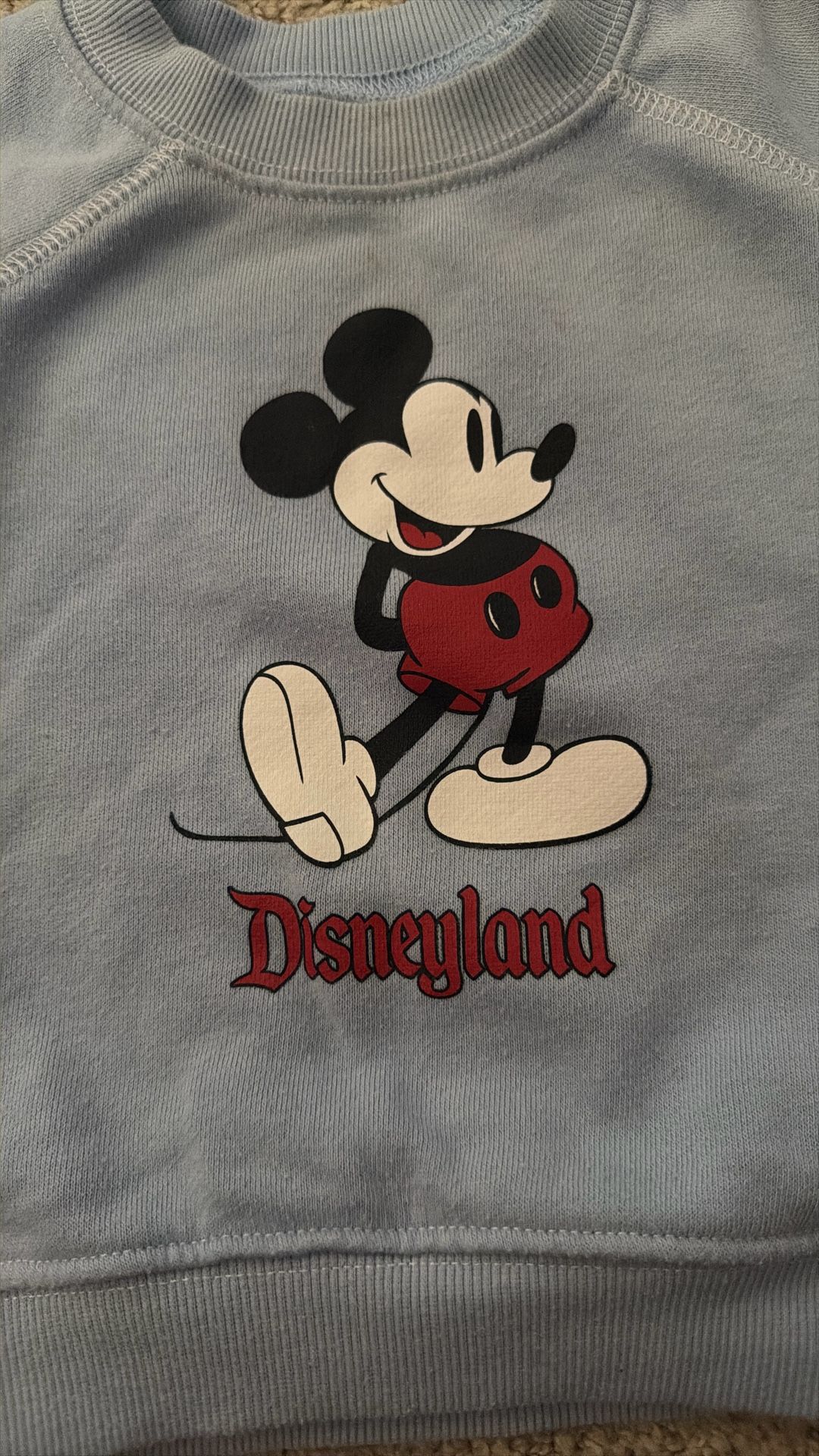 Disneyland Standing Mickey Sweater