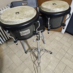 Bongo( Percucion)
