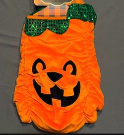 Dog Pumpkin Halloween Costume (New)
