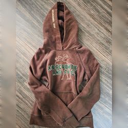 ​Vintage Abercrombie & Fitch L Brown Tight Fit Moose Hoodie Sweatshirt Y2K