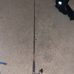 Penn Saltwater Rod