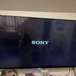 Sonia Bravía TV 55 Inch