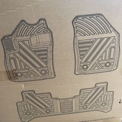 Tesla Floor Mats
