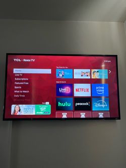 49 inch TCL Roku tv