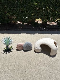 Reptile/Fish Decor