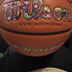Brand New Basketball Evo 
