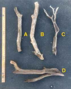 Various Wood Pieces For Aquascape Or Terrariums 
