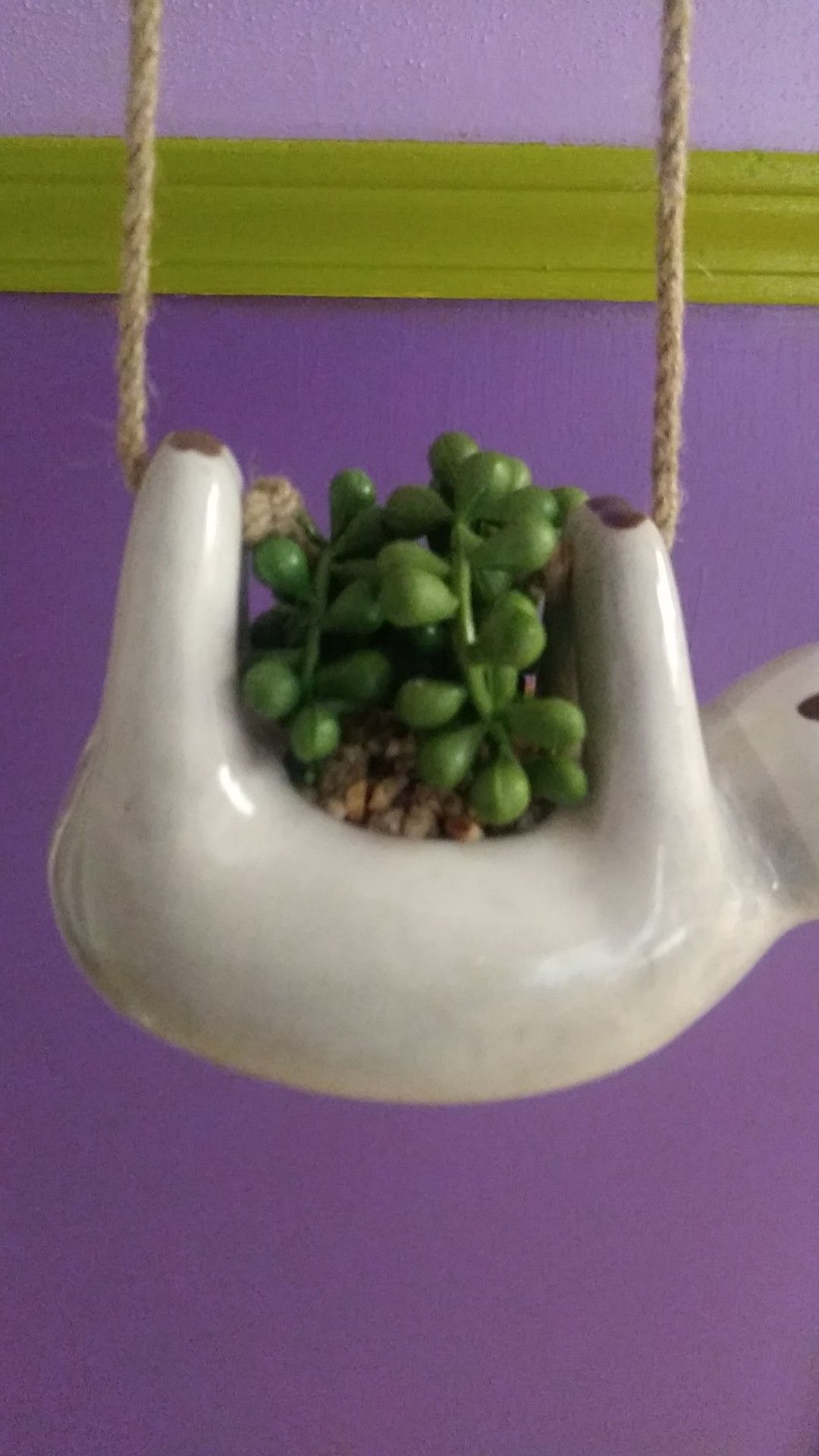 Hanging Sloth Shaped Planter