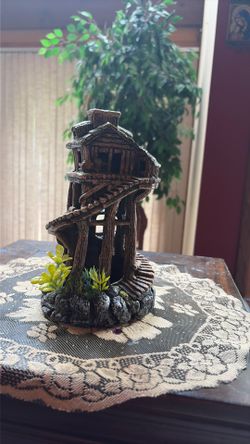 fish home