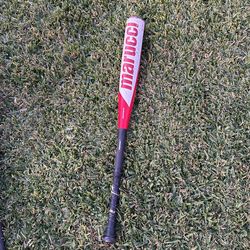 Marucci Cat Composite 31/26