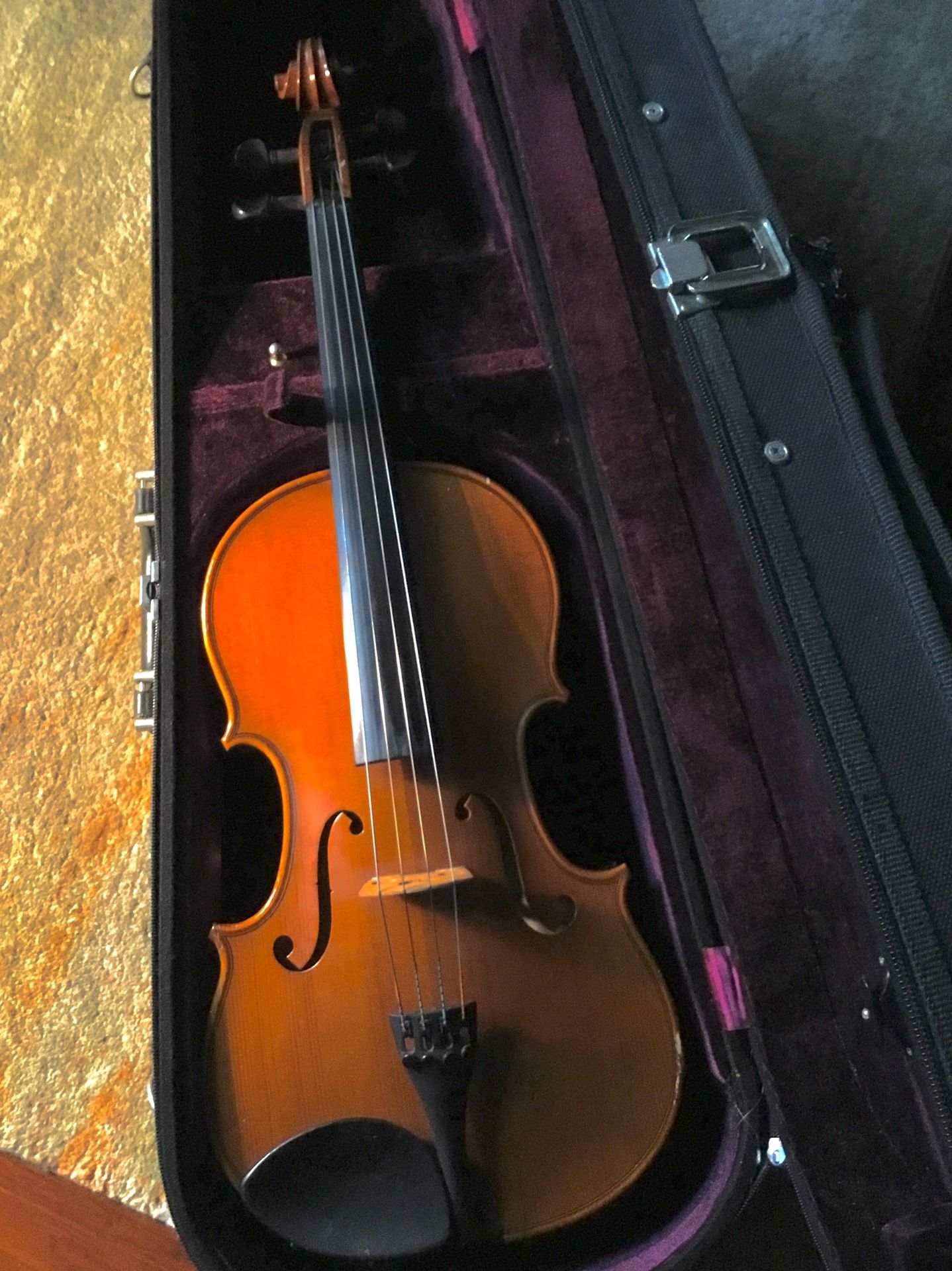 Viola