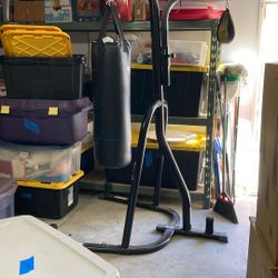 Everlast Punching Bag Unit 