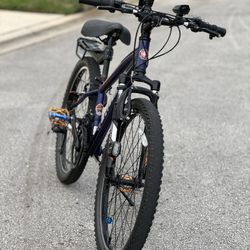 Schwinn Mountain Bike