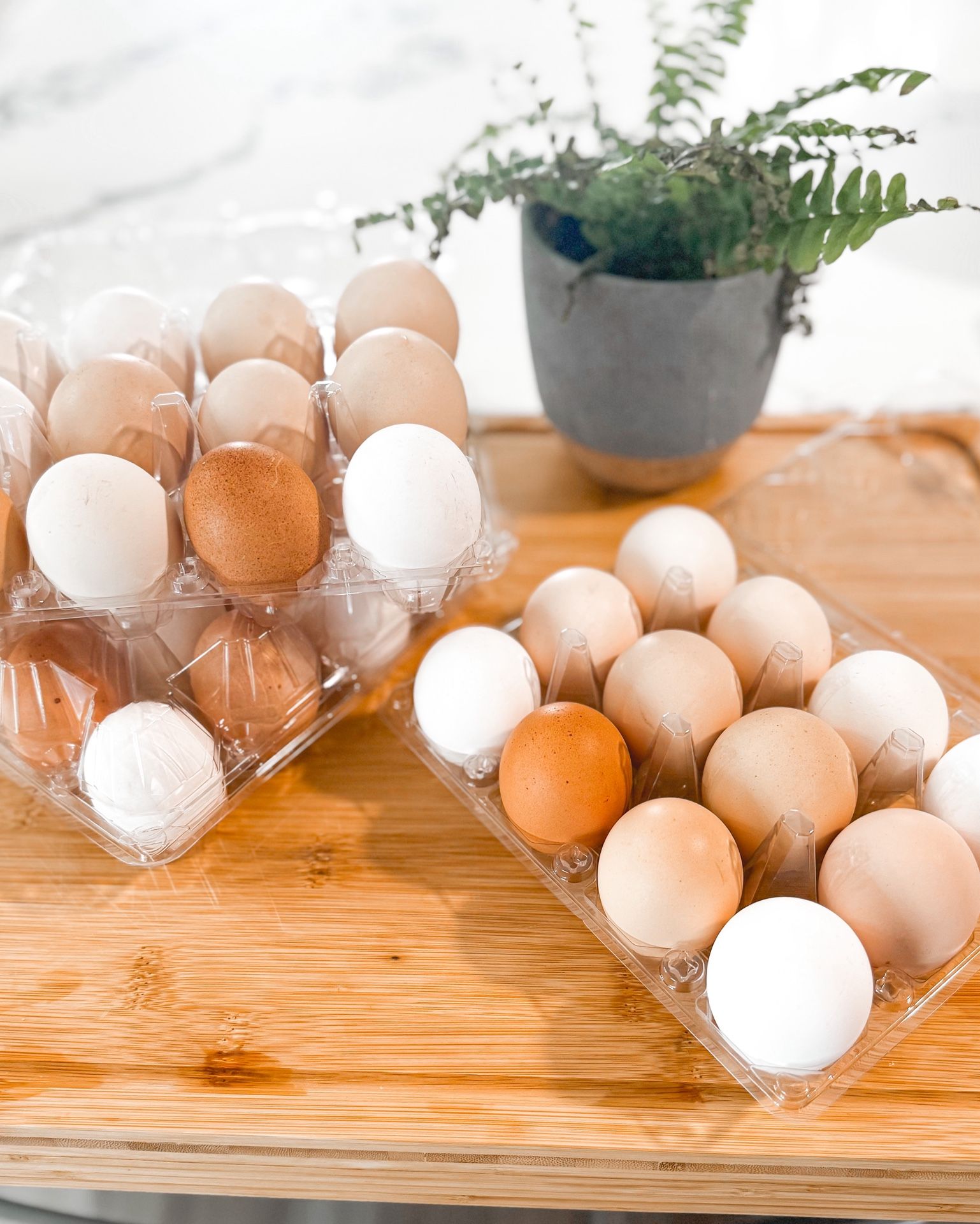 Organic Fresh Eggs